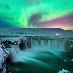 Meet your Posher, Audrey